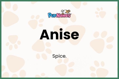 Anise dog name meaning