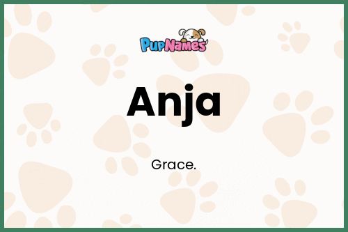 Anja dog name meaning