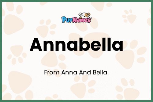 Annabella dog name meaning