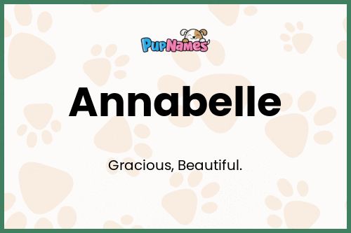 Annabelle dog name meaning