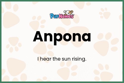 Anpona dog name meaning