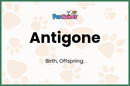 Antigone dog name meaning