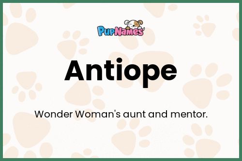 Antiope dog name meaning