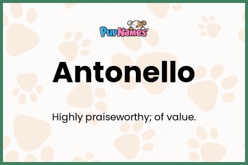 Antonello dog name meaning