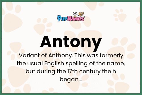 Antony dog name meaning