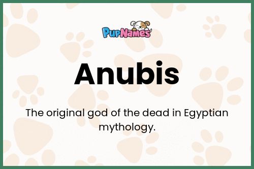 Anubis dog name meaning