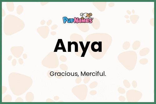 Anya dog name meaning