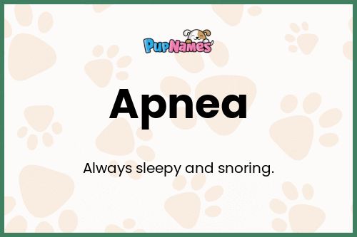 Apnea dog name meaning