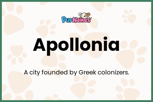 Apollonia dog name meaning