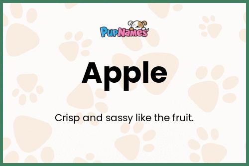 Apple dog name meaning