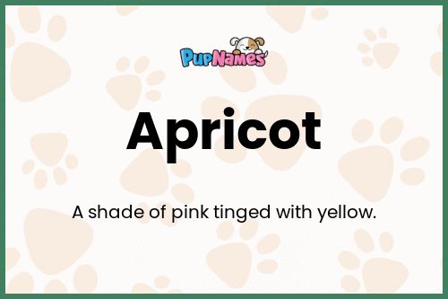 Apricot dog name meaning