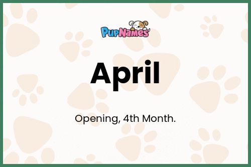 April dog name meaning