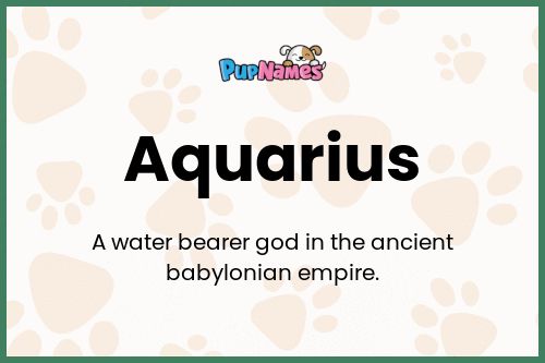 Aquarius dog name meaning