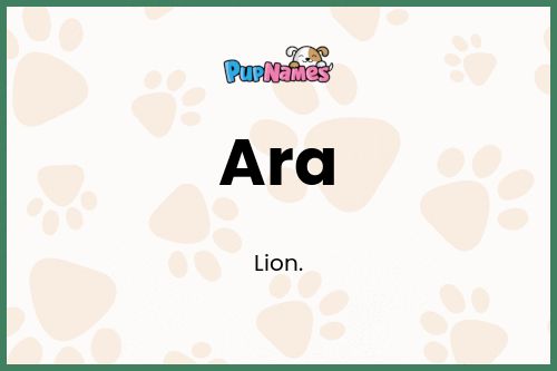 Ara dog name meaning