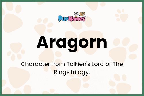 Aragorn dog name meaning