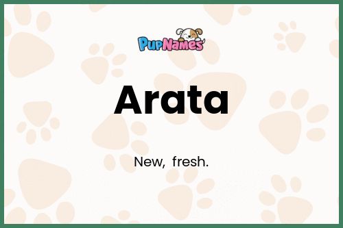 Arata dog name meaning