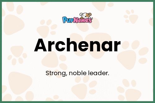 Archenar dog name meaning