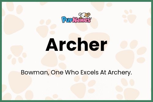 Archer dog name meaning