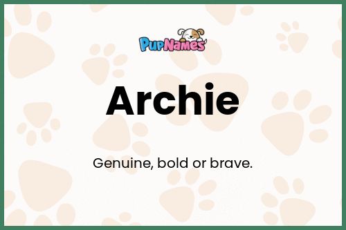 Archie dog name meaning