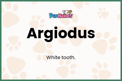 Argiodus dog name meaning