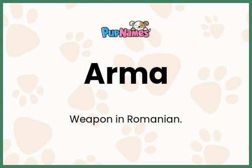 Arma dog name meaning