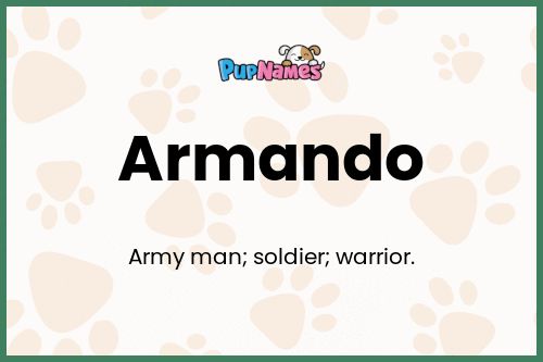 Armando dog name meaning