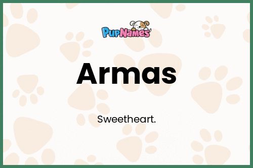 Armas dog name meaning