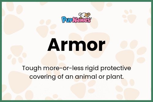 Armor dog name meaning