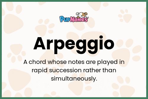 Arpeggio dog name meaning