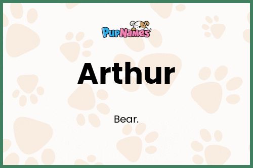 Arthur dog name meaning