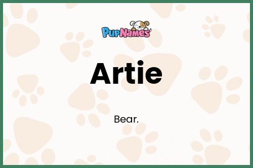Artie dog name meaning