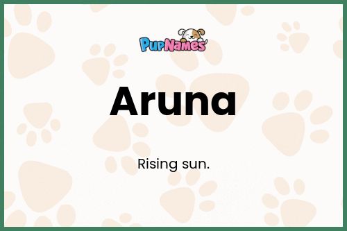 Aruna dog name meaning