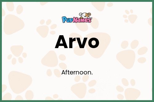 Arvo dog name meaning