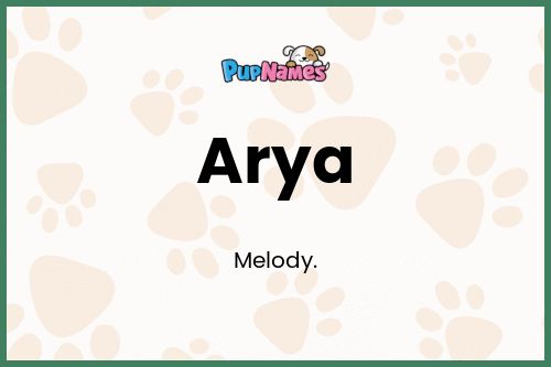 Arya dog name meaning