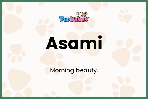 Asami dog name meaning