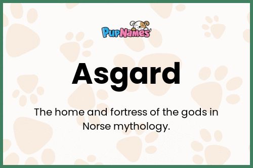 Asgard dog name meaning