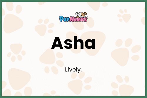 Asha dog name meaning