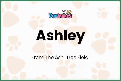 Ashley dog name meaning