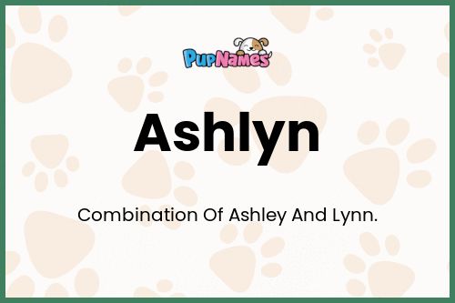 Ashlyn dog name meaning