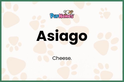 Asiago dog name meaning