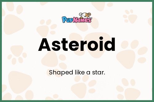 Asteroid dog name meaning