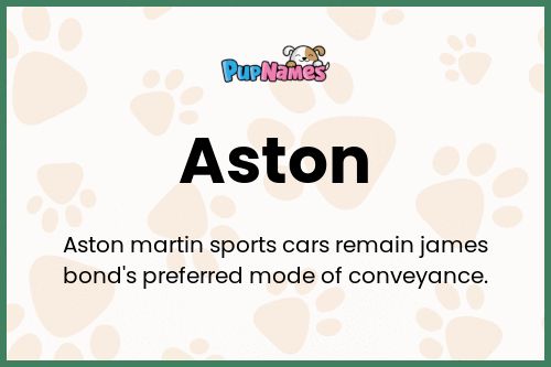 Aston dog name meaning