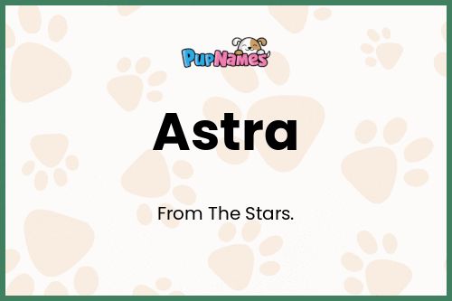 Astra dog name meaning