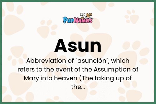 Asun dog name meaning