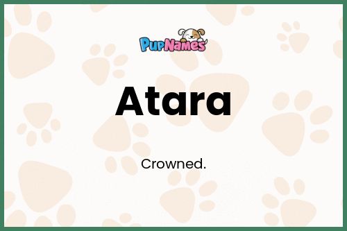 Atara dog name meaning