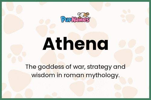 Athena dog name meaning