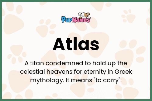 Atlas dog name meaning