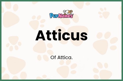 Atticus dog name meaning