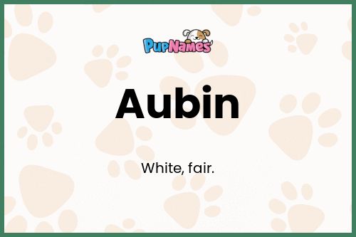 Aubin dog name meaning