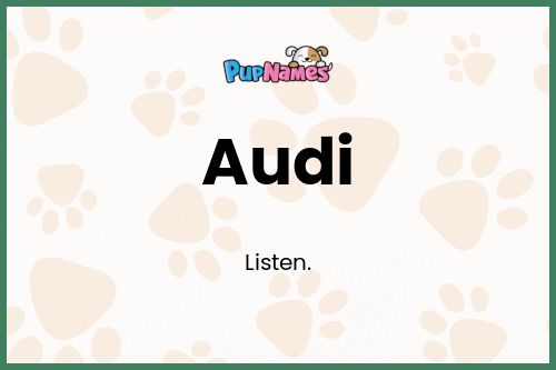 Audi dog name meaning